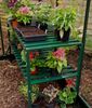 Halls Double Tier Slatted Staging in Green